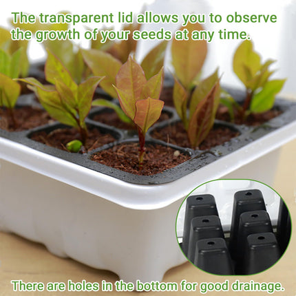 GAESHOW 12 iepakojumu iekštelpu siltumnīcas pavairotājs, 144 režģu mini siltumnīcas pavairošanas komplekts ar paceltu vāku, atkārtoti lietojama pavairošanas plāksne, siltumnīcas pavairošanas paplātes stādiem