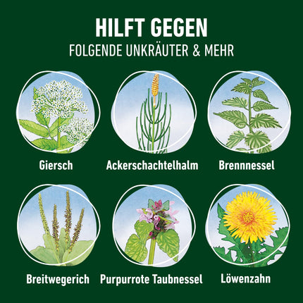 COMPO VOROX Weed-Free Express - 2,2 l - Nezāļu apkarošanai dekoratīvajos augos, augļos un dārzeņos, koncentrāts