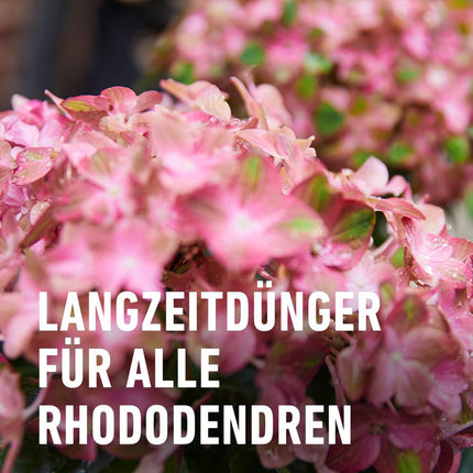 COMPO rododendru ilgtermiņa mēslojums 850g
