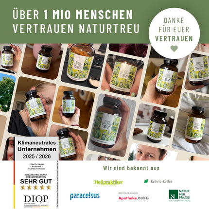 Metabolisma kapsulas diētas atbalstam - augsta deva ar zaļo tēju, forskohlii sēklām, holīnu, sparģeļiem, rūgto meloni, garcinia cambogia un hromu - 120 metabolisma kapsulas vegānas no NATURTREU®