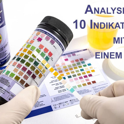 100 One+Step urīna testa strēmeles 10 indikatoriem I Veselības tests ar references krāsu karti I Urīna tests urīnceļu infekcijām I Urīna analīze skābēm un bāzēm mājsaimniecības vajadzībām