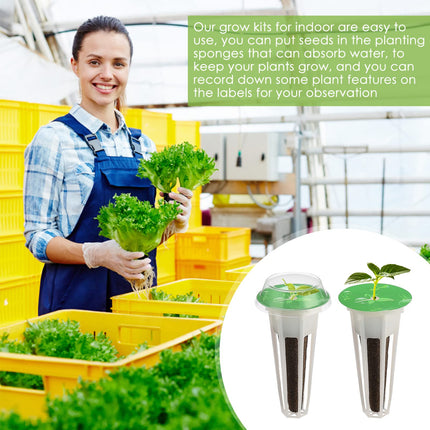 Sēklu kapsulu komplekts Aerogarden, Grow-Anything komplekts hidroponikai, augu kapsulu komplekts A un B augu mēslošanai ar augu groziem, audzēšanas sūkļiem, augu kupoliem un etiķetēm (12 gab.)