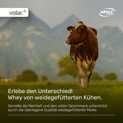 Sūkalu proteīna pulveris [Nut Nuga] - augsta proteīna satura proteīna pulvera kokteilis - proteīna pulvera sūkalu proteīna kokteilis ar 22 g proteīna vienā porcijā - proteīna kokteilis ar BCAA un EAA (1000 g) Wehle Sports®
