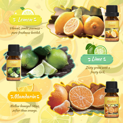 SALUBRITO citrusaugļu ēterisko eļļu komplekts, tīras dabīgas citrusaugļu aromātu eļļas difuzoriem - saldais apelsīns, bergamote, greipfrūts, citrons, mandarīns, laims aromterapijas eļļa
