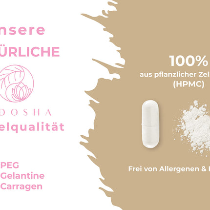 QIDOSHA® savvaļas jama saknes ekstrakts, 240 gab./burciņā, 1000 mg savvaļas jama saknes ekstrakta ar 200 mg diosgenīna vienā dienas devā, Meksikas savvaļas jama kapsulas ar augstu devu, vegānas, ražotas Vācijā