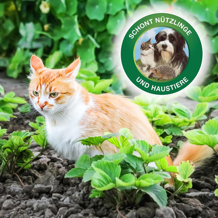 PROTECT GARDEN Protect MaXX gliemežu granulas FE, lietus izturīgas, uzticamas gliemežu apkarošanas granulas dārzeņiem, augļiem un dekoratīvajiem augiem, 1,2 kg salokāmā kastē līdz 315 m² platībai