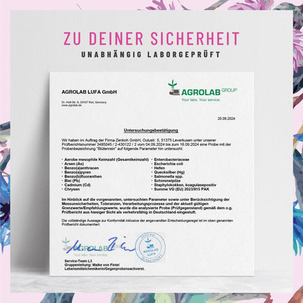 Tīrziedu piena dadža, artišoku, pienenes kapsulas - Aknu komplekss ar holīnu normālai aknu darbībai - Piena dadža augsta deva 80% silimarīns 200 mg - 120 kapsulas