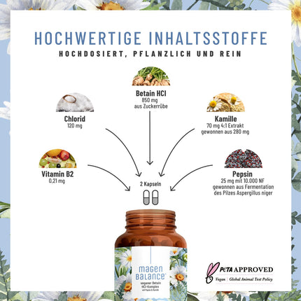 NATURTREU® Magenbalance betaīna HCL komplekss vegāns - ar pepsīnu, kumelītēm un hlorīdu - atbalsta kuņģa skābi un gremošanu* - pilna spektra enzīmu kapsulas ar augstu devu
