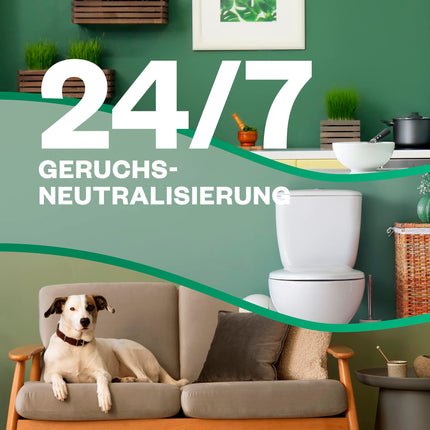 Air Wick Active Fresh – Sākuma komplekts – Bez aerosola, automātiskais gaisa atsvaidzinātājs – istabas aromāts ar jasmīna ziedu – 2 x 228 ml uzpildes + ierīce