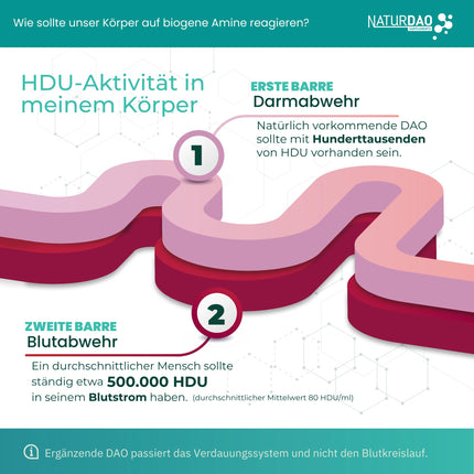 NATURDAO® 60 DAO tabletes 3 000 000 HDU dienā — ideāla deva ar 1 000 000 HDU uz tableti (1 līdz 3 tabletes dienā) — 100 % vegāns DAO — DAO enzīms