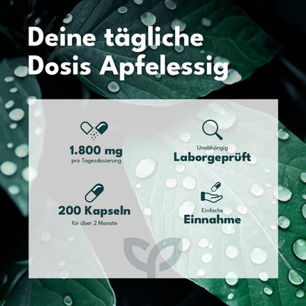 SOLVISAN - ābolu sidra etiķa kapsulas - 1800 mg dienā - 200 kapsulas - ražots Vācijā - vegāns, laboratoriski pārbaudīts un bez piedevām