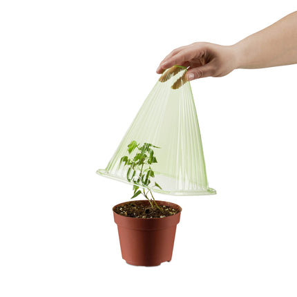 Relaxdays augu cepuru komplekts (24 gab.), stādīšanas palīglīdzeklis, augu aizsardzība pret salu, gliemežiem un putniem, PVC, augu pārsegs, zaļš 10026432