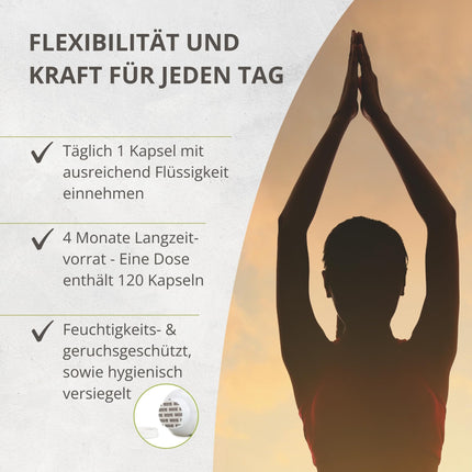 VitaCare MSM kapsulas, 120 kapsulas, katra satur 1000 mg MSM pulvera, novērš sēra deficītu, organisks un dabīgs sēra pulveris ar augstu biopieejamību