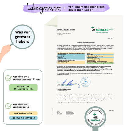 Gaba Vegavero® | Augsta deva | 1000 mg gamma aminosviestskābes vienā porcijā | Ar L-teanīnu un B6 vitamīnu | 120 vegānas kapsulas | Bez piedevām un laboratoriski pārbaudīts