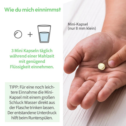 Aļģu eļļas kapsulas bērniem – vegāniskā Omega-3 – bez karagināna – 330 mg DHA no aļģēm – 90 mini kapsulas (1 mēnesis)
