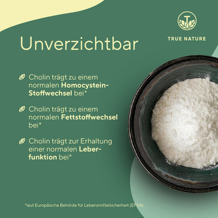 Holīna kapsulas - 360 kapsulas - holīna bitartrāts - *Aknu veselība, homocisteīns un lipīdu metabolisms (EFSA) - vegāns, ražots Vācijā - TRUE NATURE®