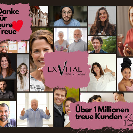 EXVital® resveratrola kapsulas, 98% trans-resveratrols, 500 mg vienā kapsulā, 120 vegānas kapsulas, vegānas un bez piedevām, laboratoriski pārbaudītas