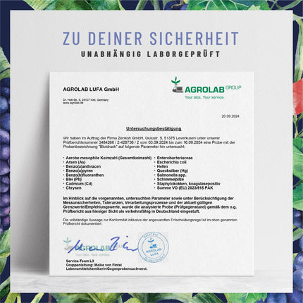 NATURTREU® OPC vīnogu kauliņu ekstrakts ar augstu devu 900 mg ekstrakts ar Q10, kāliju un melno ķiploku - franču vīnogas vegānas - 90 vīnogu kauliņu ekstrakta OPC kapsulas ar augstu devu.