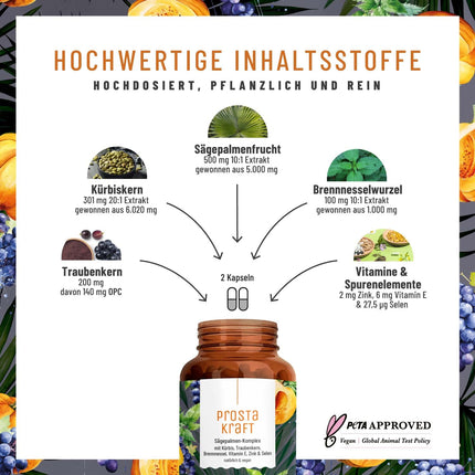 NATURTREU® Prostakraft - 120 vegāniskas kapsulas ar augstu zāģzobainās palmas ekstrakta devu (500 mg), nātru, ķirbju sēklu ar E vitamīnu, cinku, selēnu - 2 mēnešu krājums