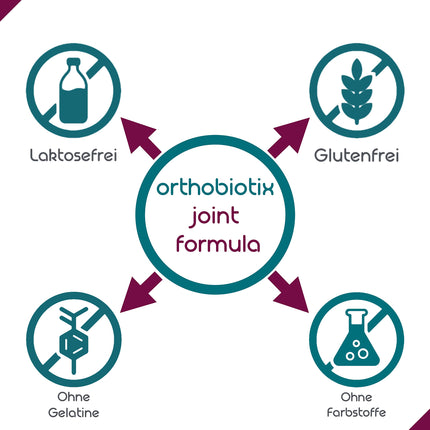 orthobiotix locītavu formula - ar glikozamīnu, hondroitīnu, MSM, hialuronskābi un 10 citām uzturvielām - 90 lielas devas kapsulas
