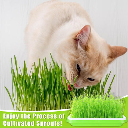 CYEER 8 dīgšanas paplāšu iepakojums, 34x25x11 cm kressalātu sēklu paplātes, mikrozaļumu sēklu paplātes, dīgšanas paplāte, dīgšanas komplekts mung pupiņu, lucernas, kviešu dīgstu audzēšanai