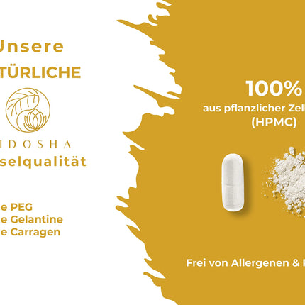 QIDOSHA® Papain Bromelain zarnās šķīstošās kapsulās, 320 mg vienā kapsulā, 90 kapsulas farmaceita glāzē, augstākā enzīmu aktivitāte 6194 USP (papaīns), Papain enzīms no papaijas, Bromelaīns no ananasiem