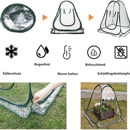 Morricho uznirstošā siltumnīca, maza ziemošanas telts augu aizsardzībai pret salu, iekštelpu siltumnīca, mini siltumnīca, augu telts ziemošanai (70 x 70 x 80 cm)