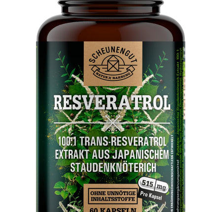Resveratrols - 1000 mg dienā - SVARĪGI: 100:1 ekstrakts (= 100 000 mg Japānas dižsūrenes saknes) + piperīns | 98% trans-resveratrola liela deva | Laboratorijā pārbaudīts -DE- SCHEUNENGUT®