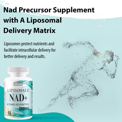 Liposomu NAD+ ar trans-resveratrolu uztura bagātinātāju | Augsta deva: 800 mg vienā porcijā 60 dienas | 60 mīkstās kapsulas | Optimāla absorbcija (60 gabali (1 iepakojums))
