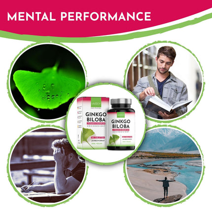 Ginkgo Biloba 6000 mg tabletē, 365 tabletes - vislabākā cenas un vērtības attiecība + B vitamīnu spēka komplekss, bez piedevām, laboratoriski pārbaudīts, ražots Austrijā, B12 vitamīns veicina noguruma mazināšanu