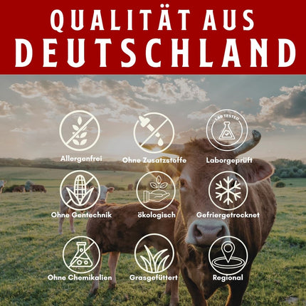 HERZBLUT (90 kapsulas) - spēcīga sinerģija sportistiem no Beefheart &amp; Beefliver; enerģijas iegūšanai; Veiktspēja; asins veidošanās; dzelzs vielmaiņa; 100% vācu, dabīgs un bioloģisks