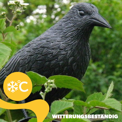 KADAX Black Raven, baložu atbaidītājs un baložu atbaidītājs no plastmasas, putnu atbaidītājs, dabiska kaitēkļu apkarošana, aizsardzība pret kaitinošiem putniem