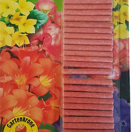 Roundup Express koncentrāts - 2x 400 ml - nezāļu iznīcinātājs sūnu un nezāļu apkarošanai