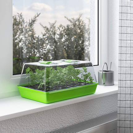 WELLGRO audzēšanas paplāte - iekštelpu siltumnīca ar ventilējamu vāku un augu etiķetēm - 1, 2 vai 4 gabali - 38 x 24 x 19 cm, daudzums: 1 gabals
