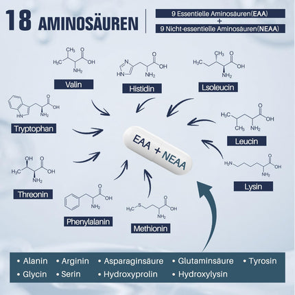 18 aminoskābju komplekss augstā devā - 9 EAA + 9 NEAA, aminoskābju kapsulas ar BCAA - 120 kapsulas