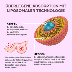 Liposomu safrāns 88,5 mg - safrāna ekstrakta kapsulas, 100% tīrs, augstas devas safrāns - augstākās kvalitātes safrāns vīriešiem un sievietēm, 60 kapsulas, 2 mēnešu krājums