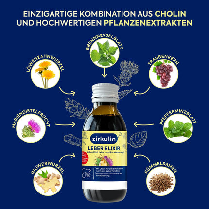 Zirkulin aknu eliksīrs (6 x 120 ml) – aknu veselības un attīrīšanas atbalsts – ar holīnu, piena dadzi, vīnogu kauliņu un nātru ekstraktu – antioksidants un diurētiķis – ikdienas lietošanai