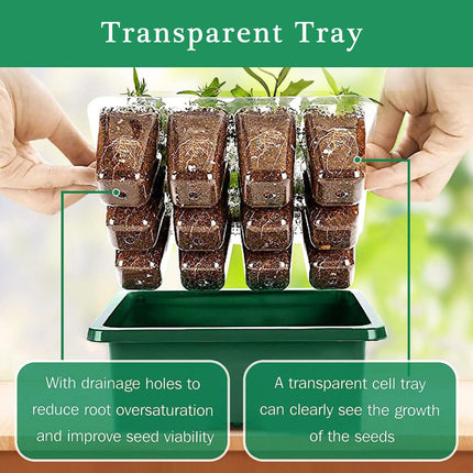 XVZ audzēšanas komplekts, augu audzēšana, siltumnīca, 6 audzēšanas paplāšu ar vākiem komplekts, iekštelpu siltumnīca ar apgaismojumu, mini siltumnīca, piemērota augšana un mitrums.