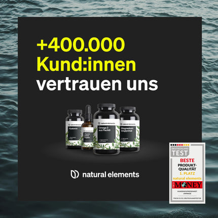 Vegānisks Omega 3 no aļģu eļļas - 90 kapsulas - Augsta deva ar augstas kvalitātes EPA un DHA (triglicerīdu formā) - Omega-3 vegāniem, laboratoriski pārbaudīts, ilgtspējīgs un dabiski ar zemu piesārņotāju saturu