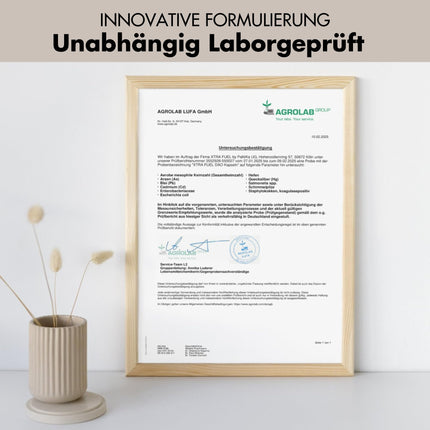 DAO kapsulas 120 gab. (liela deva) - 300 000 HDU dienā - DAO enzīms no zirņu proteīna - vegāns un laboratoriski pārbaudīts