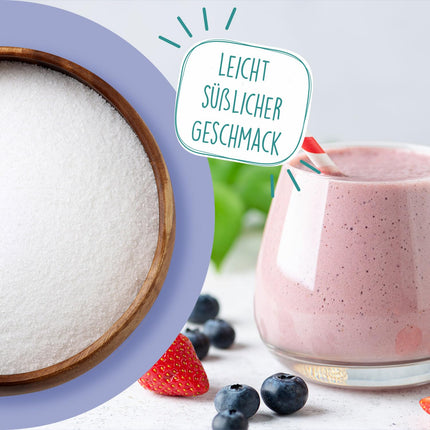 BORCHERS inulīna pulveris 500g, augu izcelsmes šķiedrvielas, viegli šķīstošs, dabiski vegāns, bez piedevām, gremošanas līdzeklis