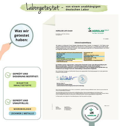 Aknu komplekss Vegavero® | Piena dadzis, artišoks, pienene, holīns un cigoriņi | Ar silimarīnu un cinarīnu | Augstas devas ekstrakti | Aknu un lipīdu vielmaiņa* | Vegāns un bez piedevām | 120 kapsulas