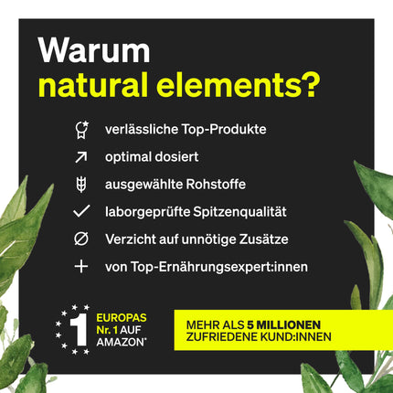 Mumijo Shilajit kapsulas – augsta deva 1300 mg dienā – 120 kapsulas Shilajit Original no Himalajiem – vegāns, bez nevajadzīgām piedevām – ražots Vācijā un laboratorijā pārbaudīts
