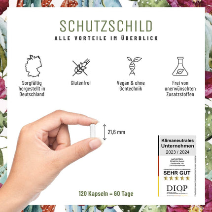 Imūnsistēmas komplekss - 500 mg ehinācijas ar C vitamīnu, cinku, selēnu, L-histidīnu un kalmegu - Stipriniet savu imūnsistēmu * vegāns un bez piedevām - 120 ehinācijas purpura kapsulas 60 dienām