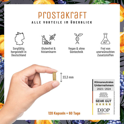 NATURTREU® Prostakraft - 120 vegāniskas kapsulas ar augstu zāģzobainās palmas ekstrakta devu (500 mg), nātru, ķirbju sēklu ar E vitamīnu, cinku, selēnu - 2 mēnešu krājums