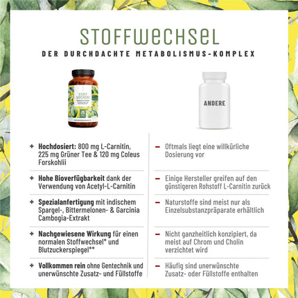 Metabolisma kapsulas diētas atbalstam - augsta deva ar zaļo tēju, forskohlii sēklām, holīnu, sparģeļiem, rūgto meloni, garcinia cambogia un hromu - 120 metabolisma kapsulas vegānas no NATURTREU®