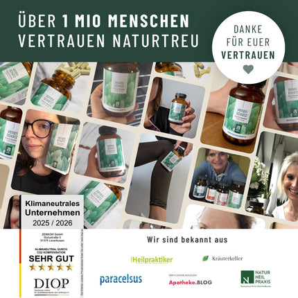 Rutīna saldā āboliņa komplekss 120 kapsulas - 500 mg rutīna augsta deva un 394 mg saldā āboliņa - augu izcelsmes alternatīva vēnu kapsulām un tabletēm - vegāns - Vein Treasure no NATURTREU