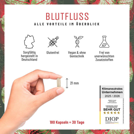 NATURTREU® Blood Flow augstas devas L-arginīna kapsulas ar citrulīnu – augstākās kvalitātes L-arginīna bāzes komplekss, L-arginīns (AAKG), L-arginīna HCl – 180 vegānas kapsulas, ražotas Vācijā un laboratorijā pārbaudītas