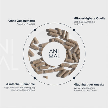 Dzīvnieku izcelsmes liellopu aknas [240 kapsulas] - dabīgs dzelzs, A vitamīns, B12 vitamīns, varš - ar zāli barotu liellopu aknas - ganībās barotu dzīvnieku kvalitāte no Jaunzēlandes - optimāla barības vielu uzsūkšanās - halal sertificētas izejvielas