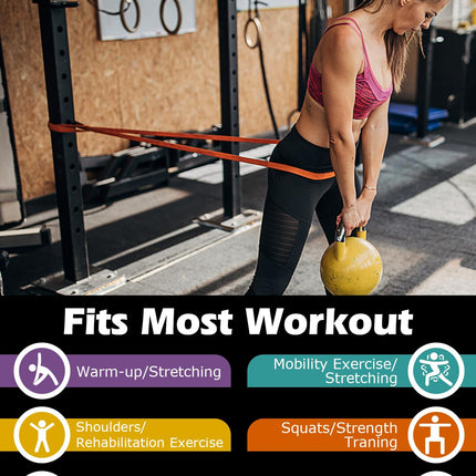 Zacro pretestības lentes, fitnesa lentu komplekts ar durvju enkuru, jogai, pilates, treniņiem, fizioterapijai, pievilkšanās līdzekļiem, spēka treniņiem vīriešiem un sievietēm